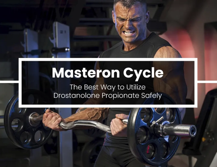 Masteron Cycle