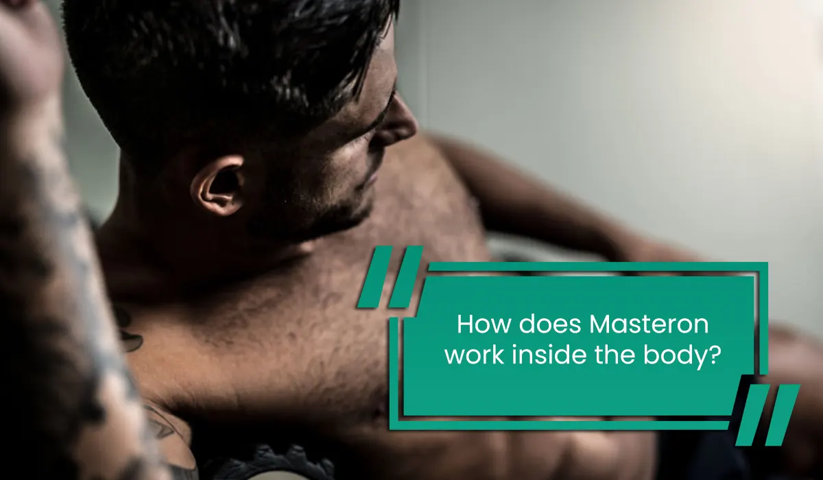 How does Masteron work inside the body?
